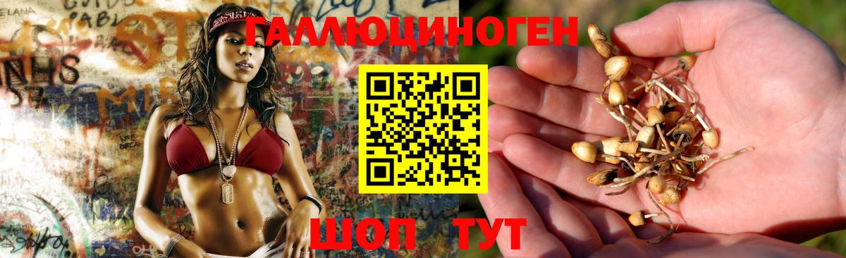 Пушкино  цены   Вход с VPN  Галлюциногенные грибы мицелий 